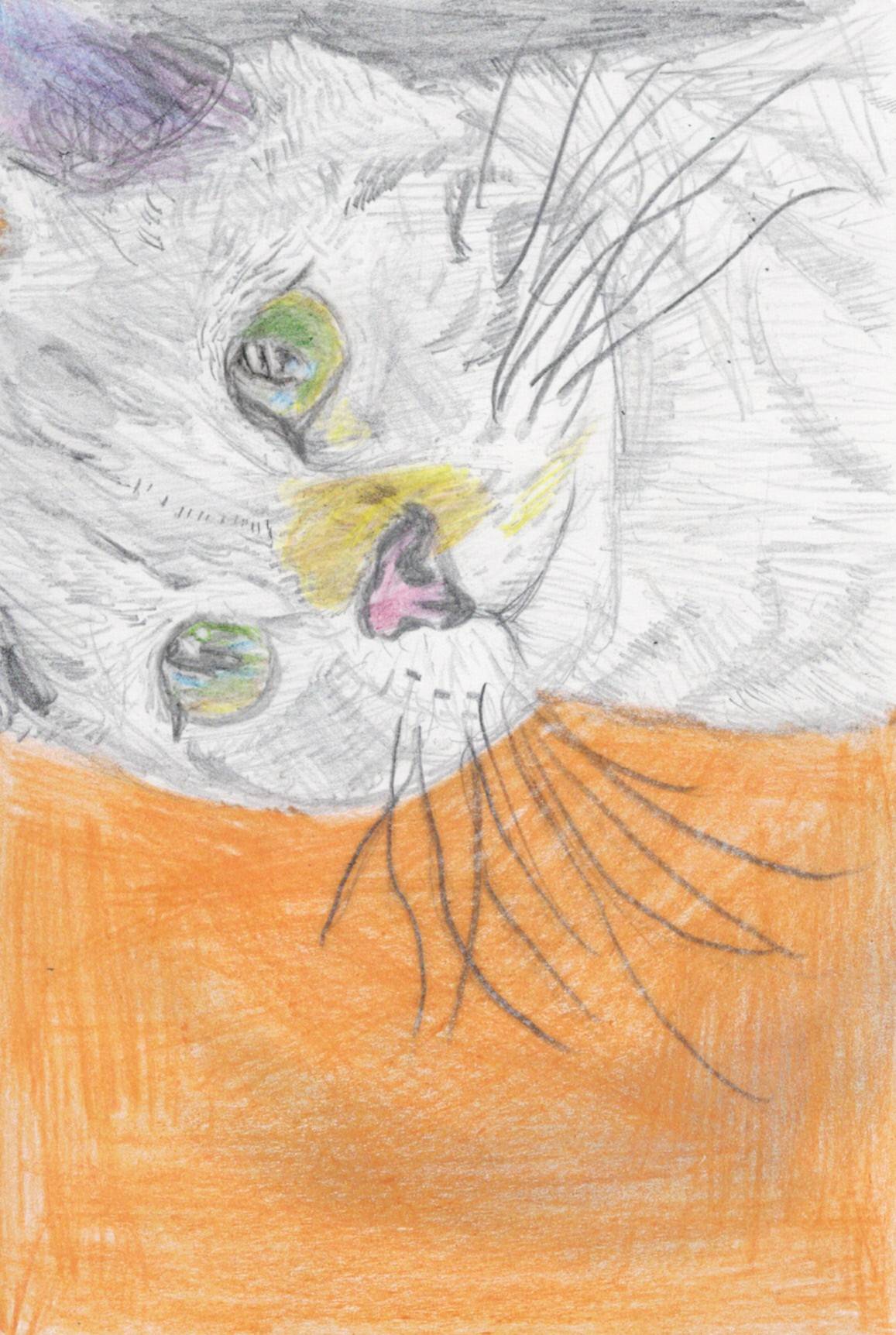 第19回全国こども猫のはがき絵コンクール 美術館大賞 受賞作品