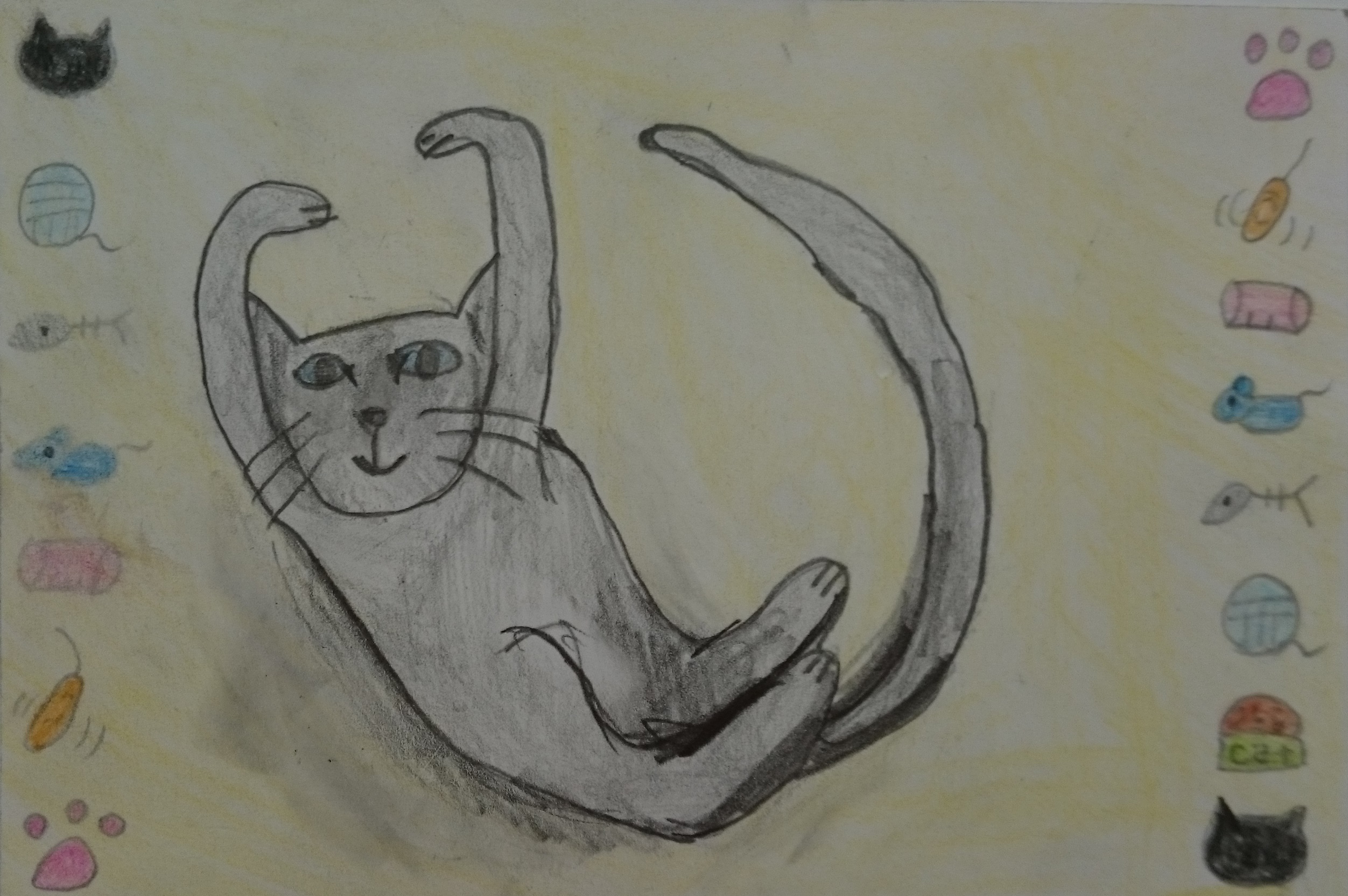 �z�b�R����6