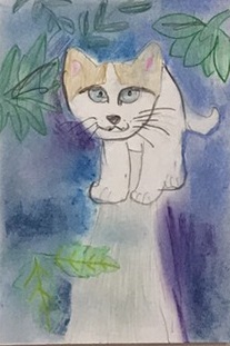 �z�b�R����1