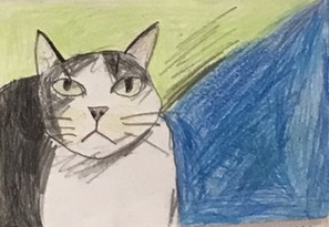 �z�b�R����6