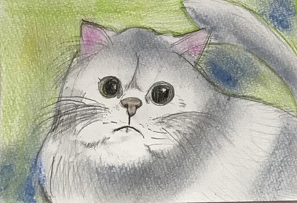 �W�H�s����