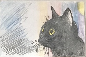 �R�������ʏ�2