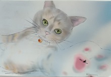 �z�b�R����2