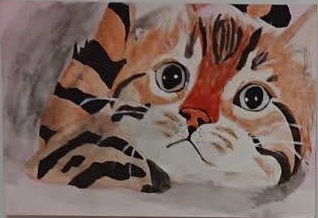 �z�b�R����3