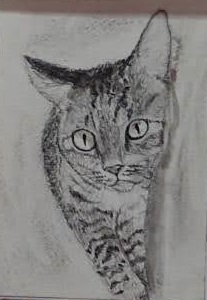 �z�b�R����6