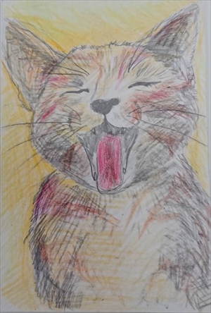 ���l�����