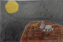 �z�b�R����2