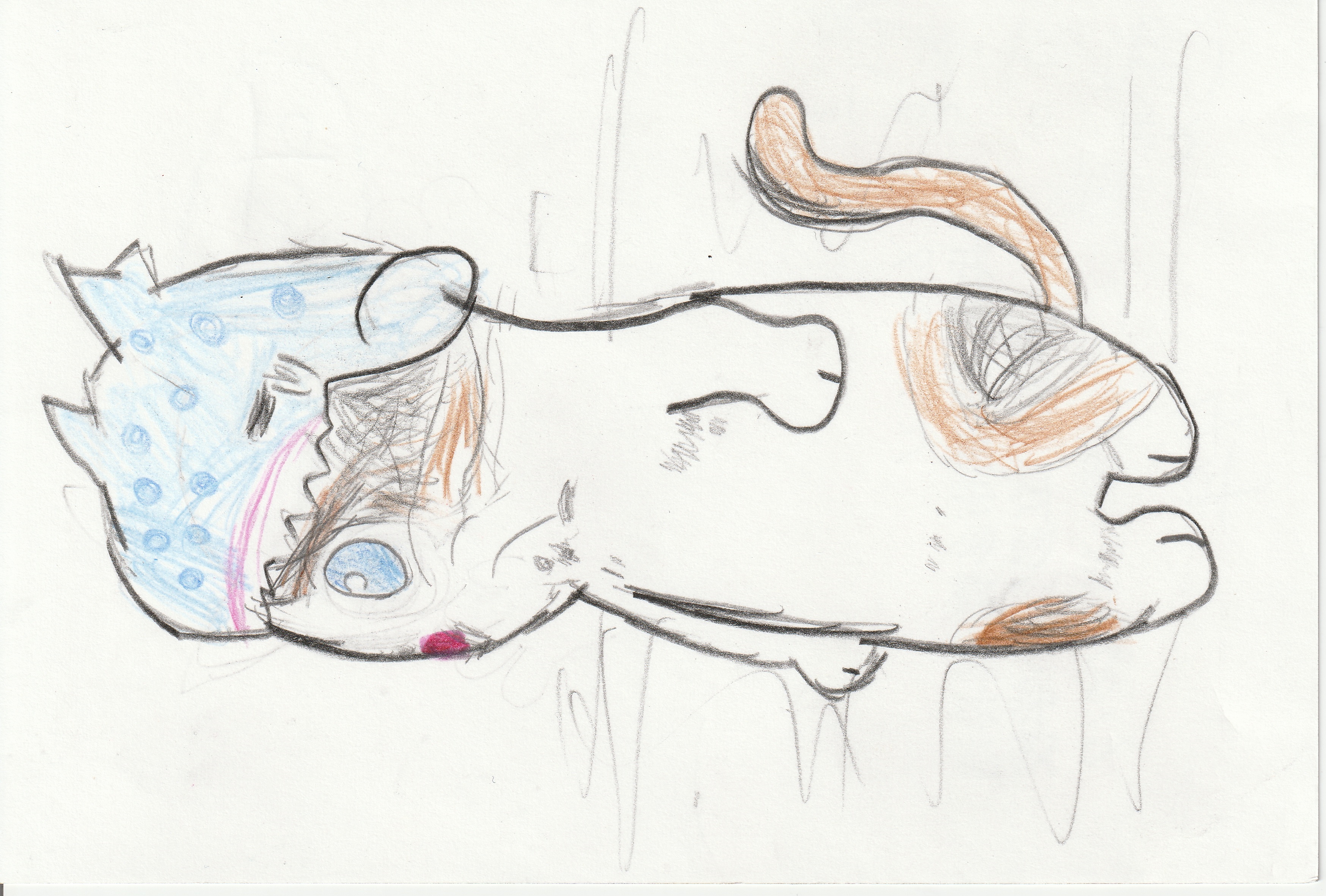 �z�b�R����4