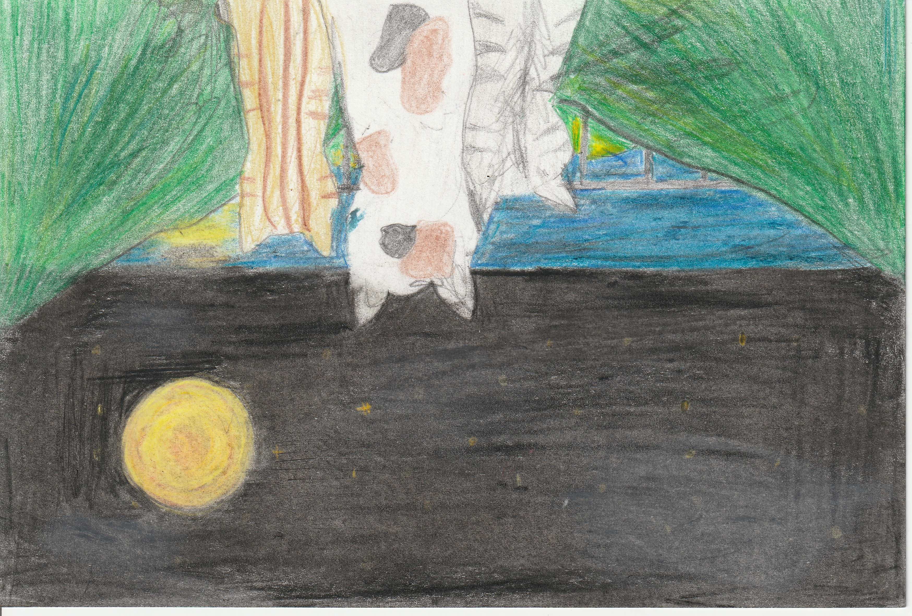 �z�b�R����3