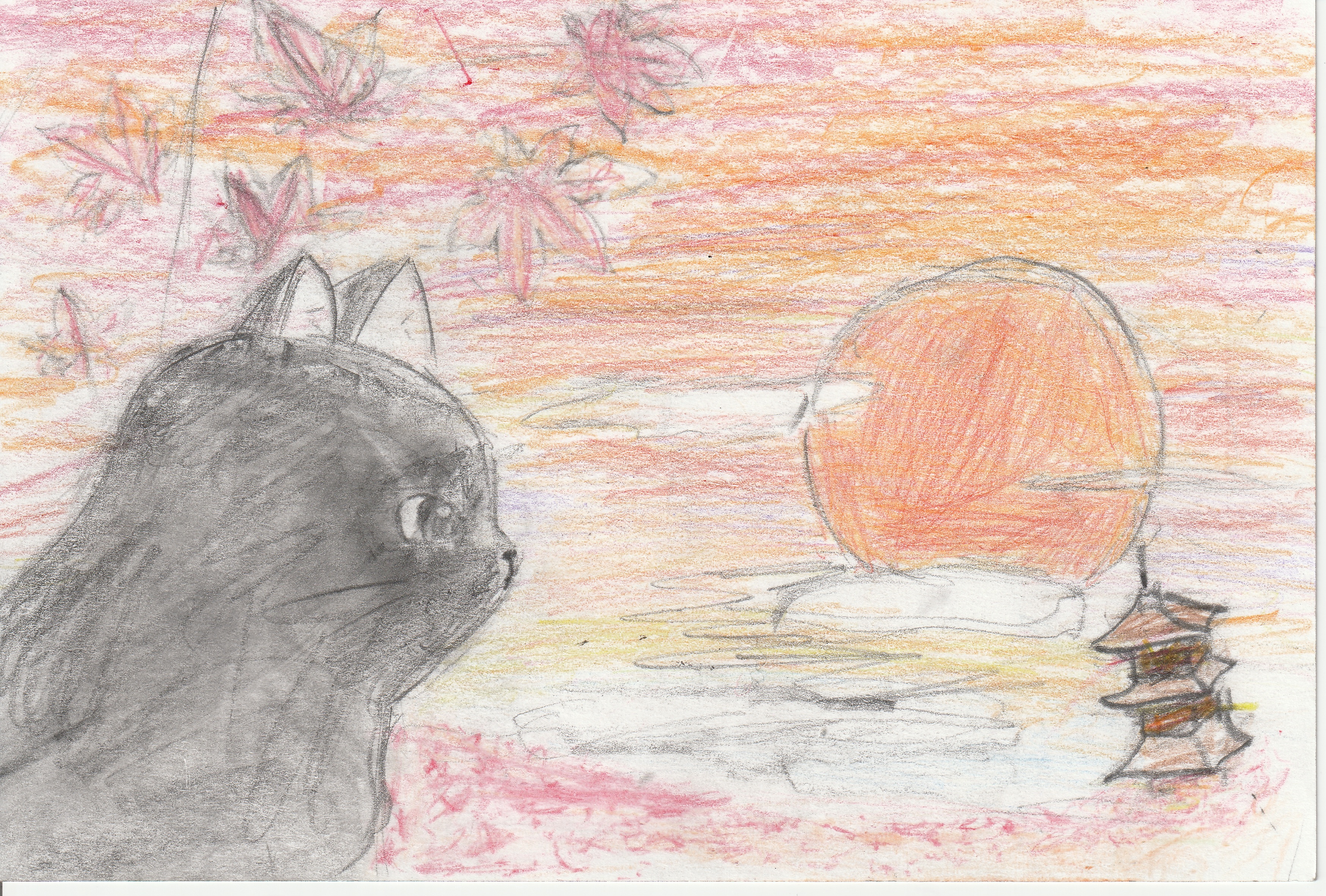 �z�b�R����2