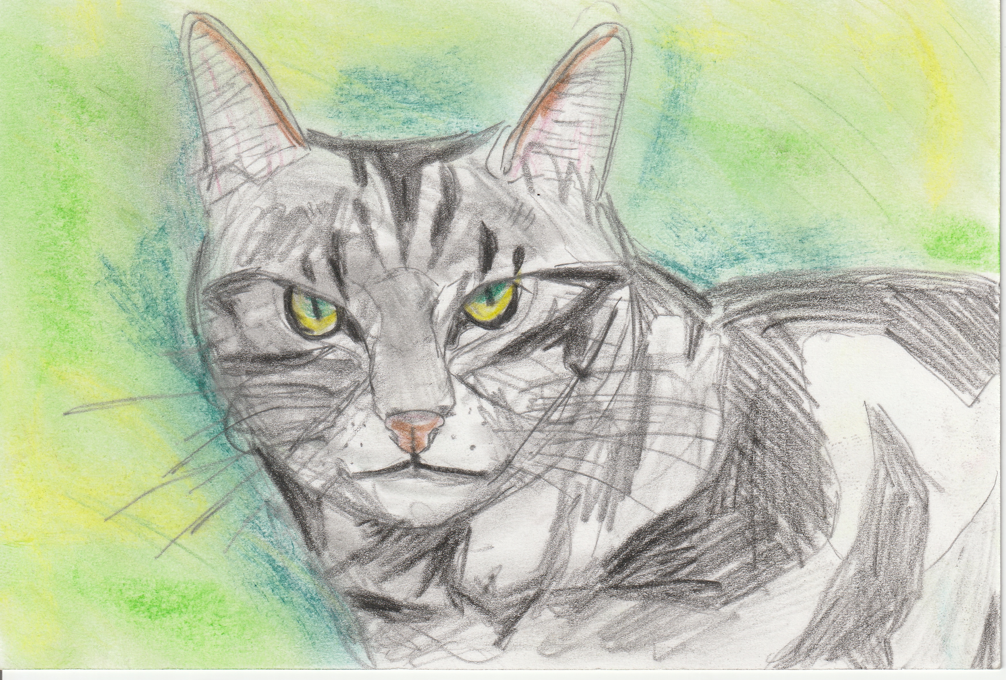 ���l�����