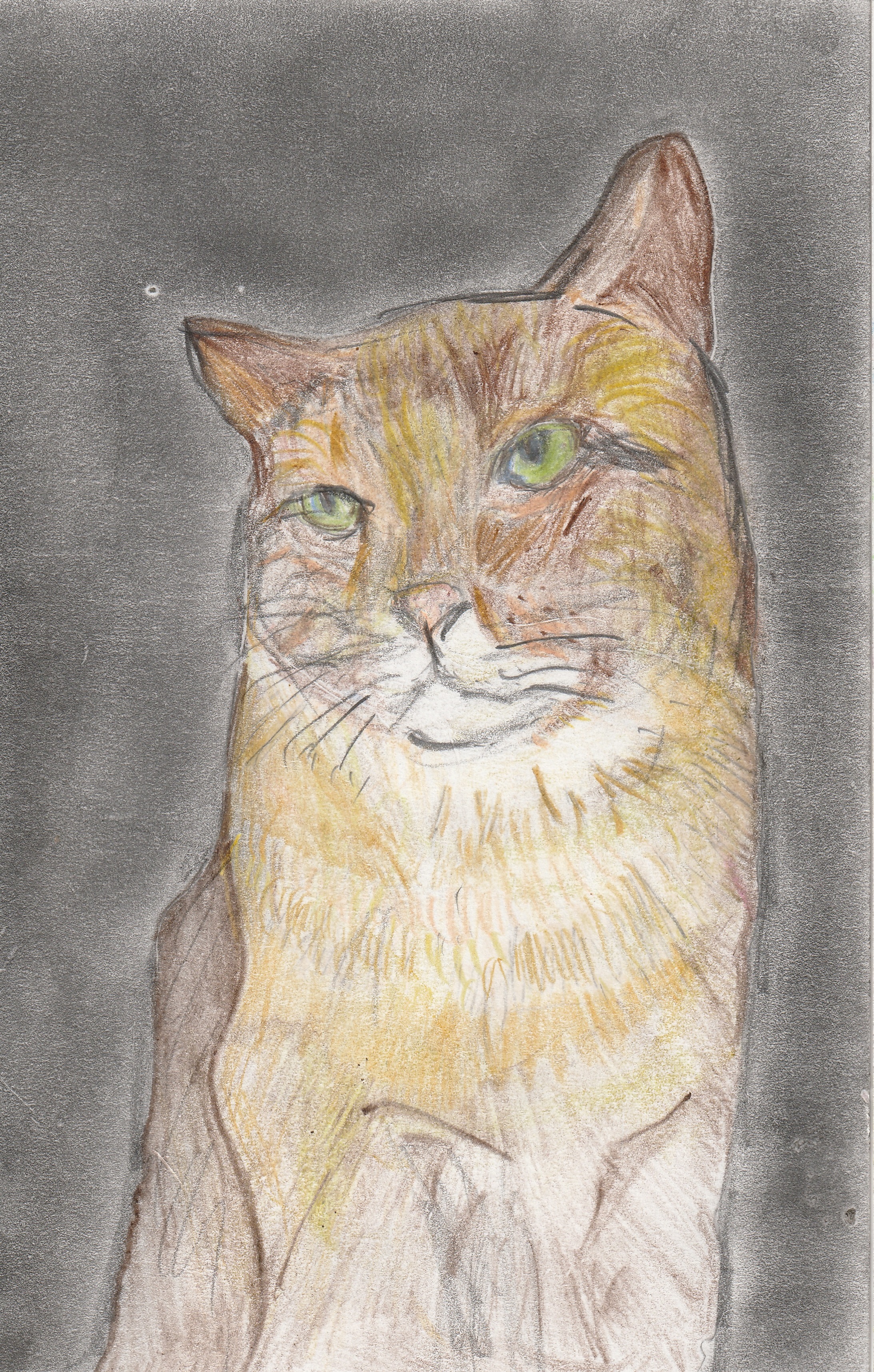 �W�H�s����