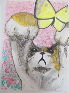 �W�H�s����