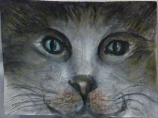 �W�H�s���H���