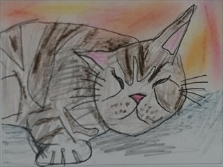 �z�b�R����4