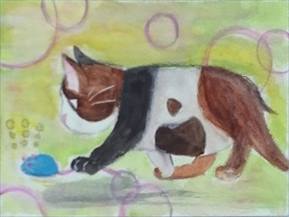 �z�b�R����6