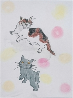 �z�b�R����3