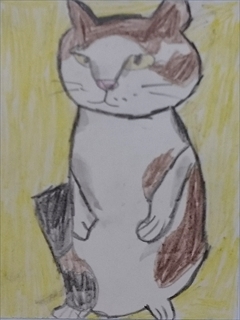 �z�b�R����1