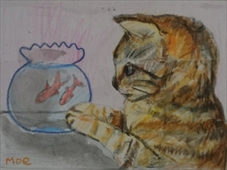 �W�H�s����